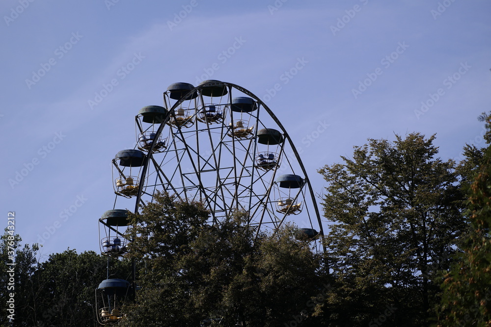 ferris wheel in the park
