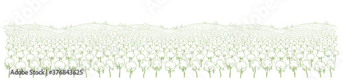 Vineyard landscape sketch. Grapes plantation. Panorama field. Hand drawn line. Wine label. Site header. Long horizontal banner.