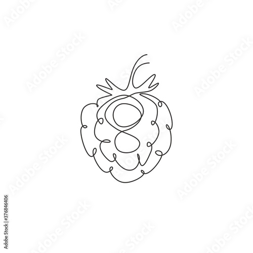 Single continuous line drawing of whole healthy organic raspberry for orchard logo identity. Fresh berry fruitage concept for fruit garden icon. Modern one line draw design graphic vector illustration