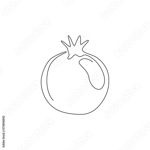 One single line drawing whole healthy organic pomegranate for orchard logo identity. Fresh fruitage seeds concept for fruit garden icon. Modern continuous line draw design vector graphic illustration