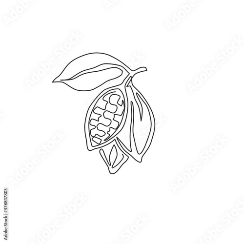 Single continuous line drawing of whole healthy organic cocoa bean for plantation logo identity. Fresh cacao concept for chocolate shop icon. Modern one line draw design vector graphic illustration