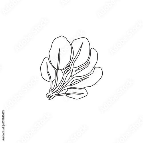 One single line drawing whole healthy organic green spinach leaves for farm logo identity. Fresh plant concept for edible vegetable icon. Modern continuous line draw design vector graphic illustration