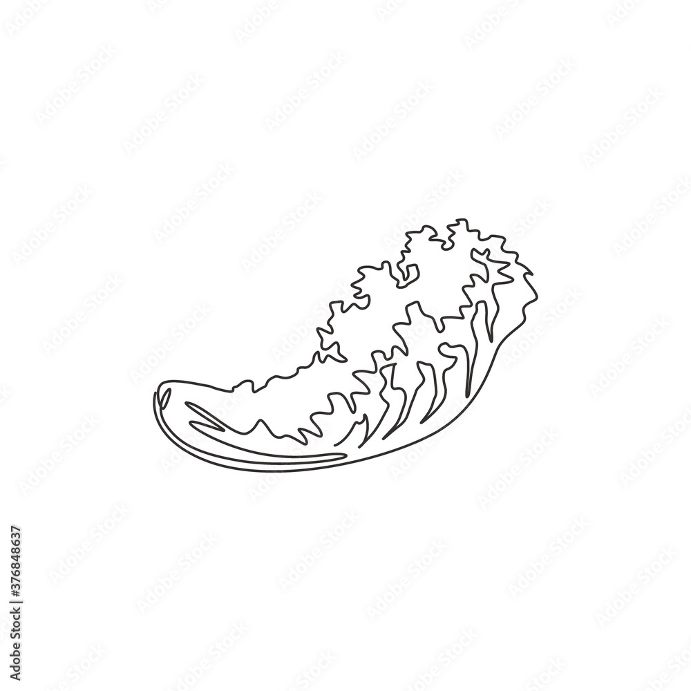 One continuous line drawing whole healthy organic green lettuce leaf for farm logo identity. Fresh salad ingredient concept vegetable icon. Modern single line draw design vector graphic illustration One continuous line drawing whole healthy organic green lettuce leaf for farm logo identity. Fresh salad ingredient concept vegetable icon. Modern single line draw design vector graphic illustration