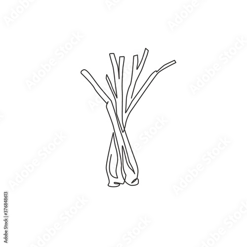 Single continuous line drawing of whole healthy organic lemongrass for farm logo identity. Fresh cymbopogon concept for grass vegetable icon. Modern one line draw design vector graphic illustration