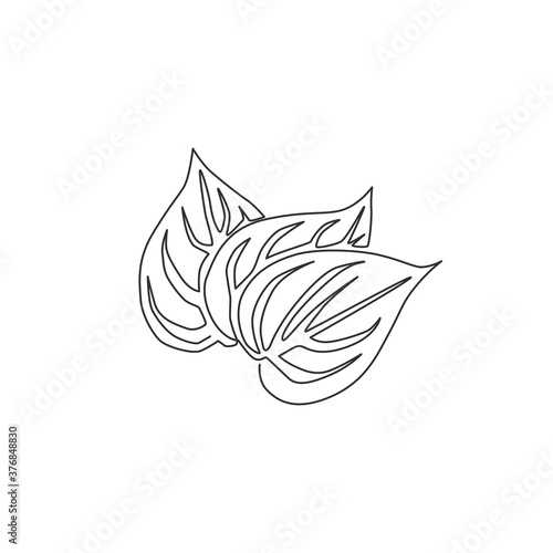 Fotografie One single line drawing of pile healthy organic betel leaf for farm logo identity