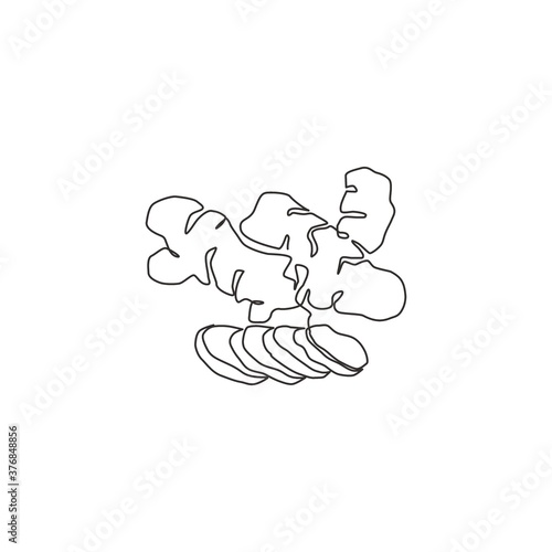 One continuous line drawing healthy organic ginger for farm logo identity. Fresh flowering plant rhizome concept herbaceous perennial icon. Modern single line draw design vector graphic illustration