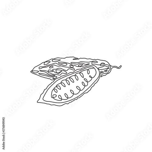 Single continuous line drawing of whole and sliced healthy organic bitter gourd for garden logo identity. Fresh Indonesian pare concept for veggie icon. Modern one line draw design vector illustration