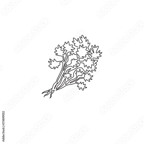 Single continuous line drawing of tied bunch healthy organic coriander leaf for logo identity. Fresh cilantro concept for vegetable icon. Modern one line draw design vector graphic illustration
