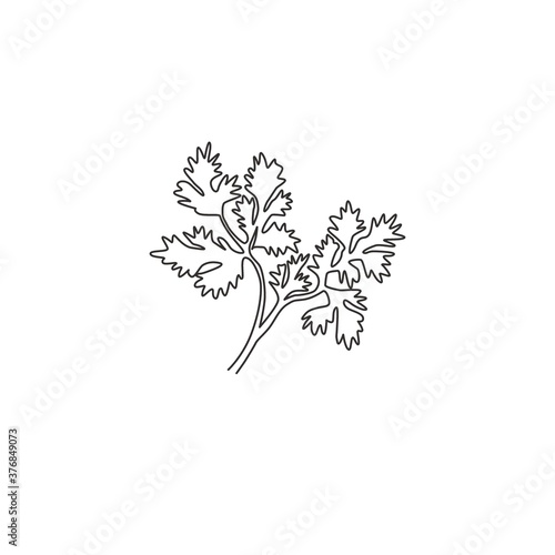 One continuous line drawing of healthy organic coriander leaf for farm logo identity. Fresh Chinese parsley concept for vegetable icon. Modern single line draw design graphic vector illustration