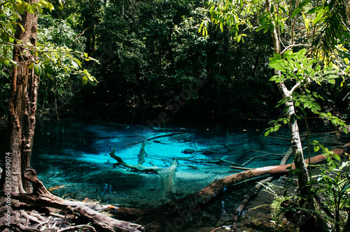 Blue pond in Krabi  Thailand or Tha Pom Klong Song Nam near Sra Morakot in tropical forest