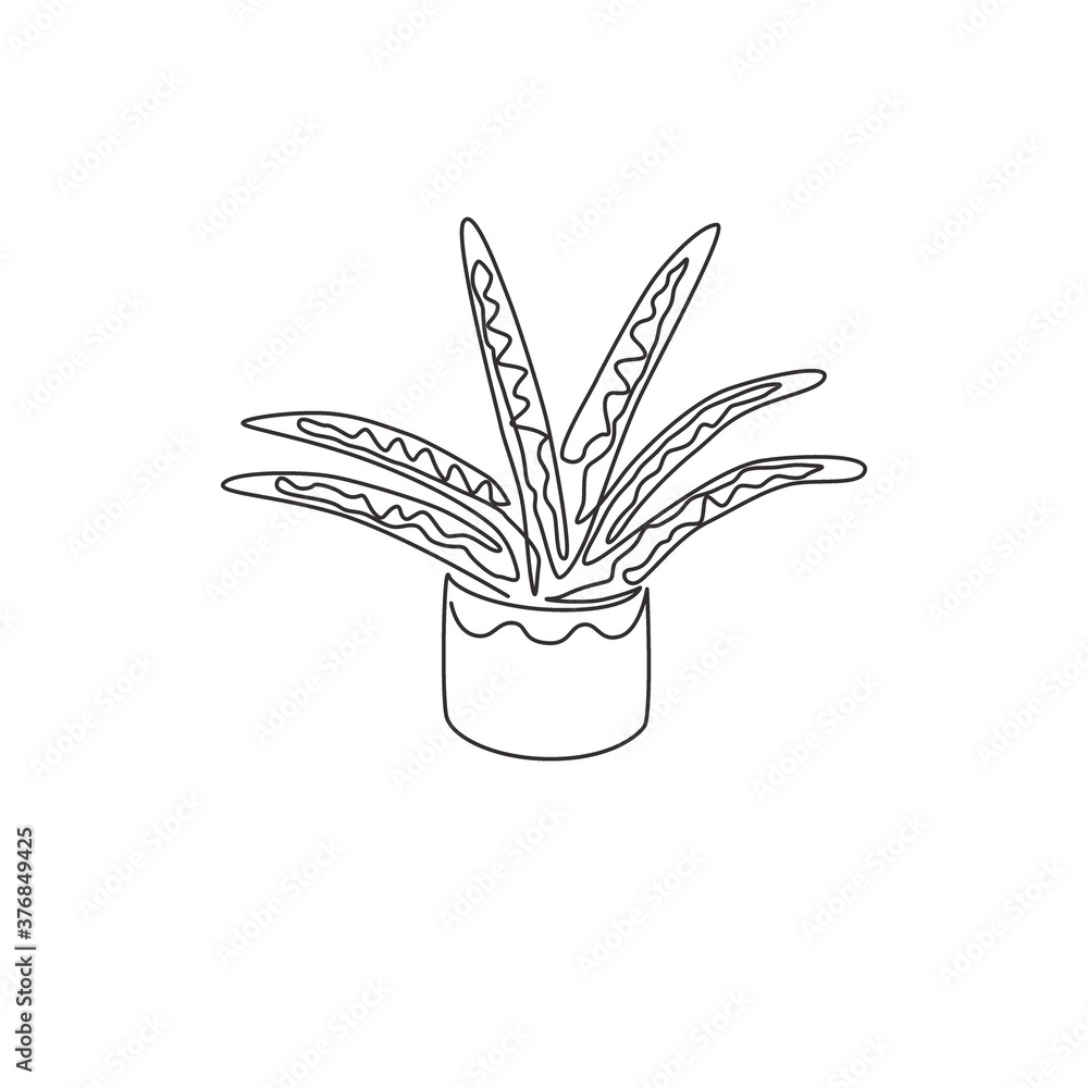 Single continuous line drawing of potted snake plant for home decor