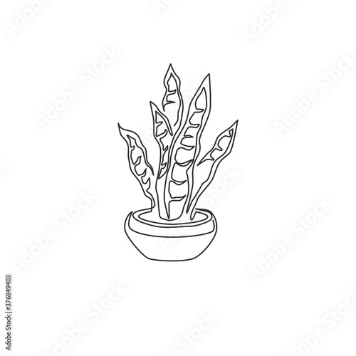 One continuous line drawing of potted snake plant for home decor logo identity. Fresh evergreen perennial plant concept for  plant icon. Modern single line draw design vector graphic illustration