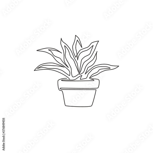 One single line drawing of potted snake plant for home decor logo identity. Fresh evergreen perennial plant concept for  plant icon. Modern continuous line draw design vector graphic illustration