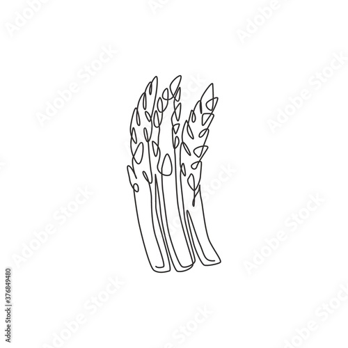 Single continuous line drawing of whole healthy organic asparagus for plantation logo identity. Fresh perennial flowering plant concept for veggie icon. Modern one line draw design vector illustration