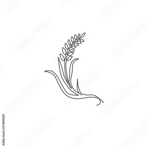 One single line drawing of whole healthy organic wheat grain for farm logo identity. Fresh staple food concept for breakfast cereal icon. Modern continuous line graphic draw design vector illustration
