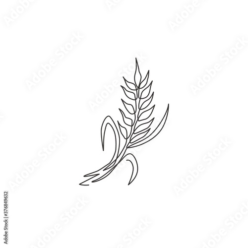 One continuous line drawing of whole healthy organic wheat grain for farm logo identity. Fresh staple food concept for breakfast cereal icon. Modern single line graphic draw design vector illustration