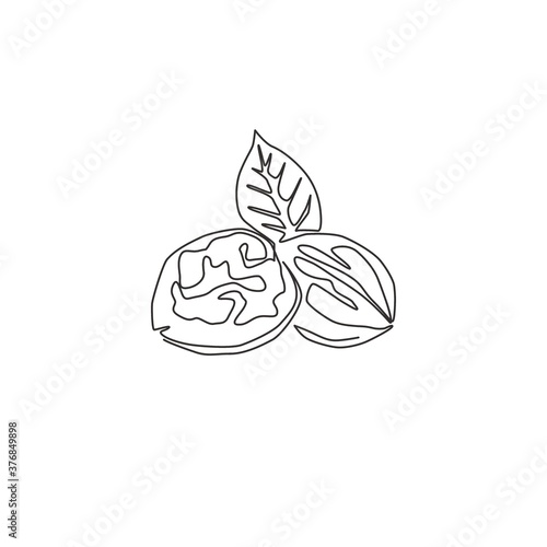 Single continuous line drawing whole healthy organic walnut and leaves for orchard logo identity. Fresh nutshell concept for healthy seed icon. Modern one line draw design vector graphic illustration