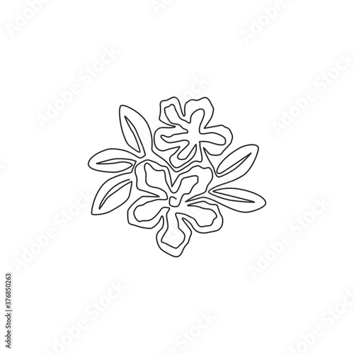 Single continuous line drawing of fresh beauty adenium for garden logo. Printable poster decorative desert rose flowers concept home wall decor. Modern one line draw design graphic vector illustration