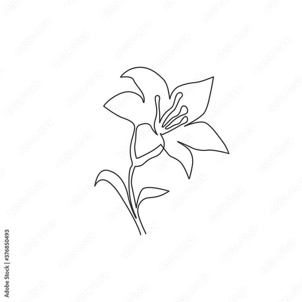 Single continuous line drawing of beauty fresh lilium for home wall decor poster. Printable decorative true lilies flower for greeting card ornament. Modern one line draw design vector illustration Single continuous line drawing of beauty fresh lilium for home wall decor poster. Printable decorative true lilies flower for greeting card ornament. Modern one line draw design vector illustration