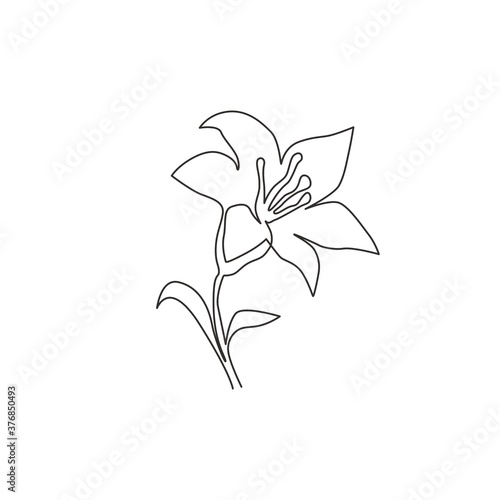 Single continuous line drawing of beauty fresh lilium for home wall decor poster. Printable decorative true lilies flower for greeting card ornament. Modern one line draw design vector illustration