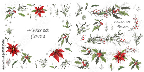 hand drawn set, isolated flowers on white background. realistic, Botanical doodles. modern flowers (poinsettia, white mistletoe, Holly), elements for floral decoration of the winter season.