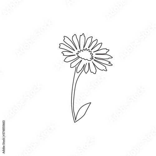 Single continuous line drawing of beauty fresh bellis perennis for home wall decor poster art. Printable decorative common daisy flower concept. Modern one line draw graphic design vector illustration