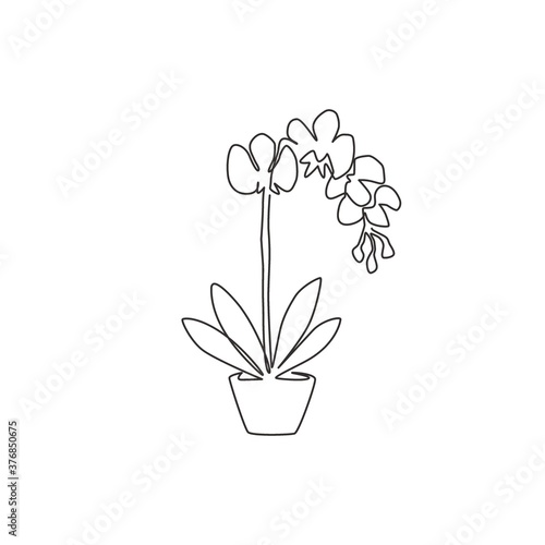 Single continuous line drawing of beauty fresh gladiolus for home decor poster. Printable decorative sword gladius flower concept for greeting card ornament. One line draw design vector illustration