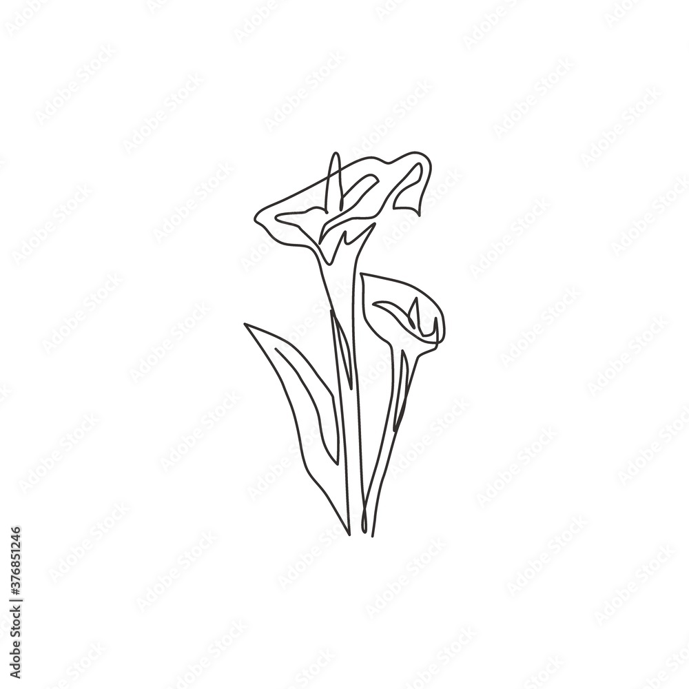 One continuous line drawing beauty fresh zantedeschia for home wall decor print. Printable decorative arum lily flower for wedding invitation card. Modern single line draw design vector illustration One continuous line drawing beauty fresh zantedeschia for home wall decor print. Printable decorative arum lily flower for wedding invitation card. Modern single line draw design vector illustration