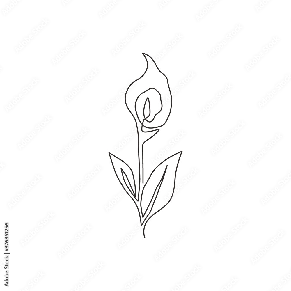 Single one line drawing beauty fresh zantedeschia for garden logo.  Printable decorative arum lily flower for home decor wall art print. Trendy  continuous line draw design vector graphic illustration Stock Vector |