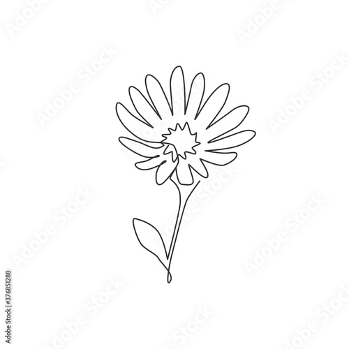 One continuous line drawing beauty fresh perennial flowering plant for home decor wall art poster. Printable decorative aster flower for park icon. Modern single line draw design vector illustration