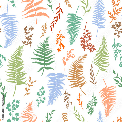Seamless pattern, hand drawing, vintage style. Colorful ferns and forest plants on a white background