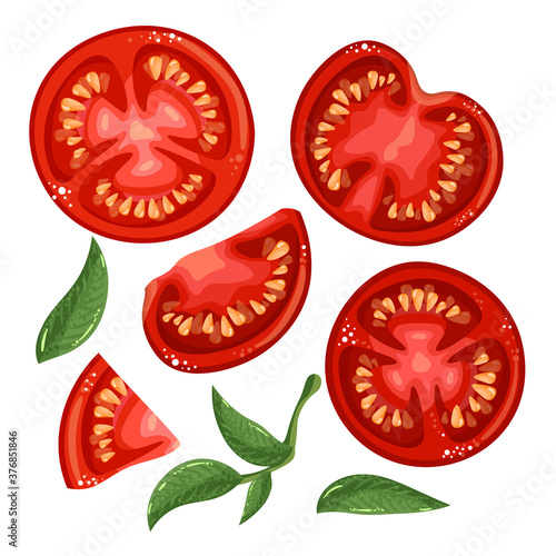 Collection of tomatoes, slices of tomatoes on white background, isolated object...