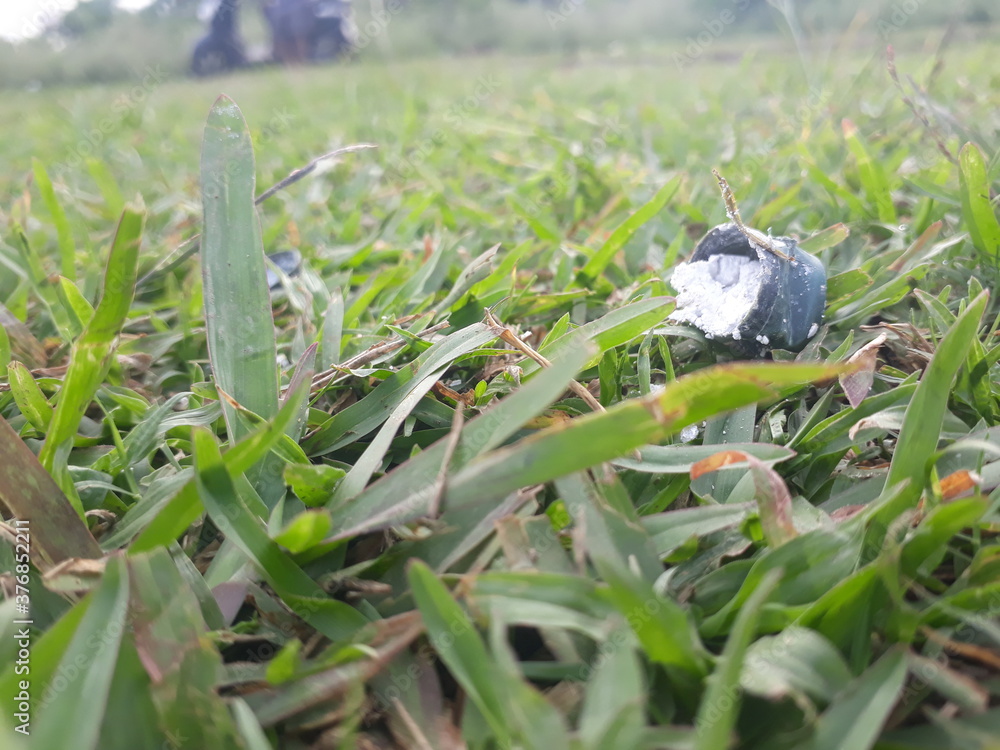 Obraz premium Garbage box on grass