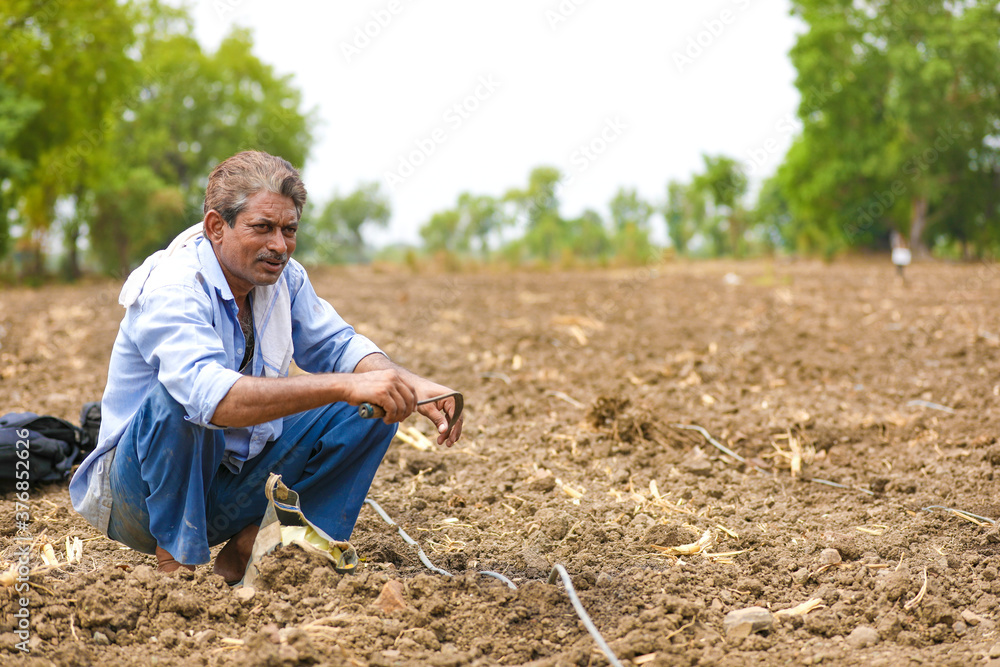 Fototapeta premium young indian farmer at field