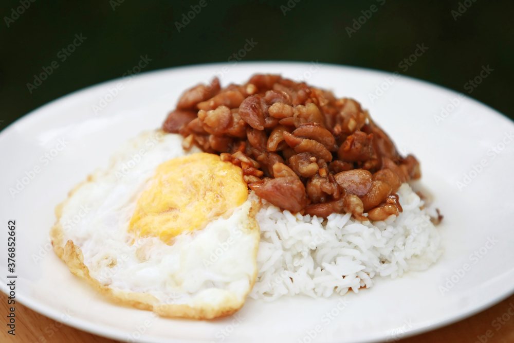 Fried Chicken with Garlic with rice and Fried Egg Fried Chicken with Garlic with rice and Fried Egg