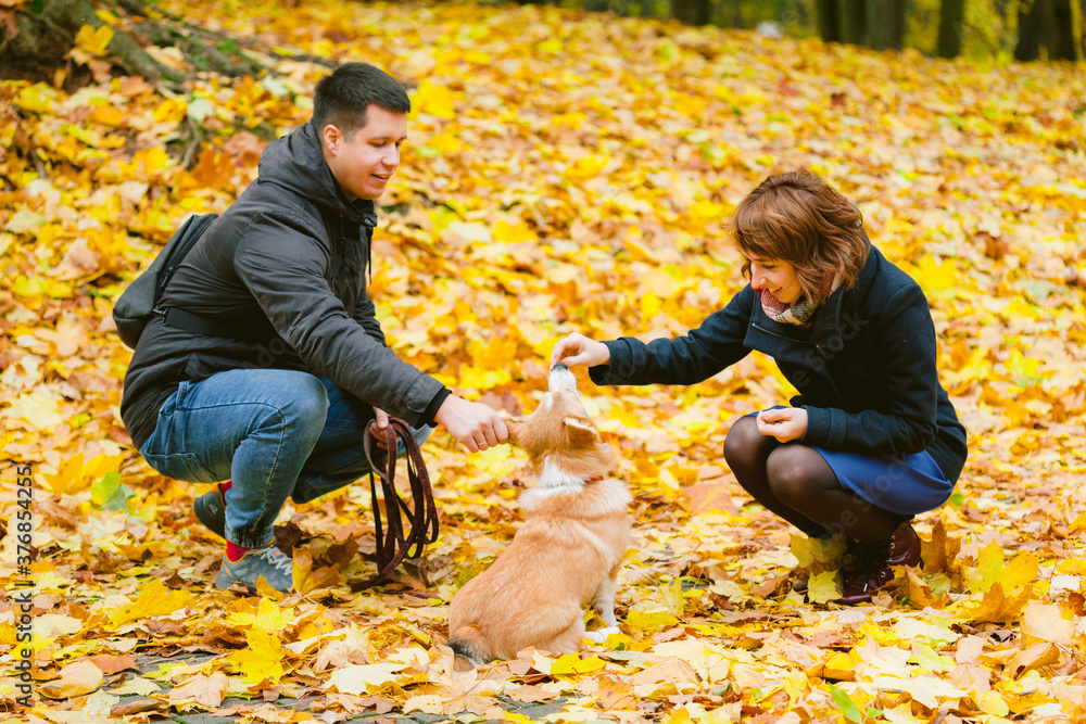 Happy couple playing with Corgi dog in sunny autumn park. Man and woman having fun outdoors with pet.