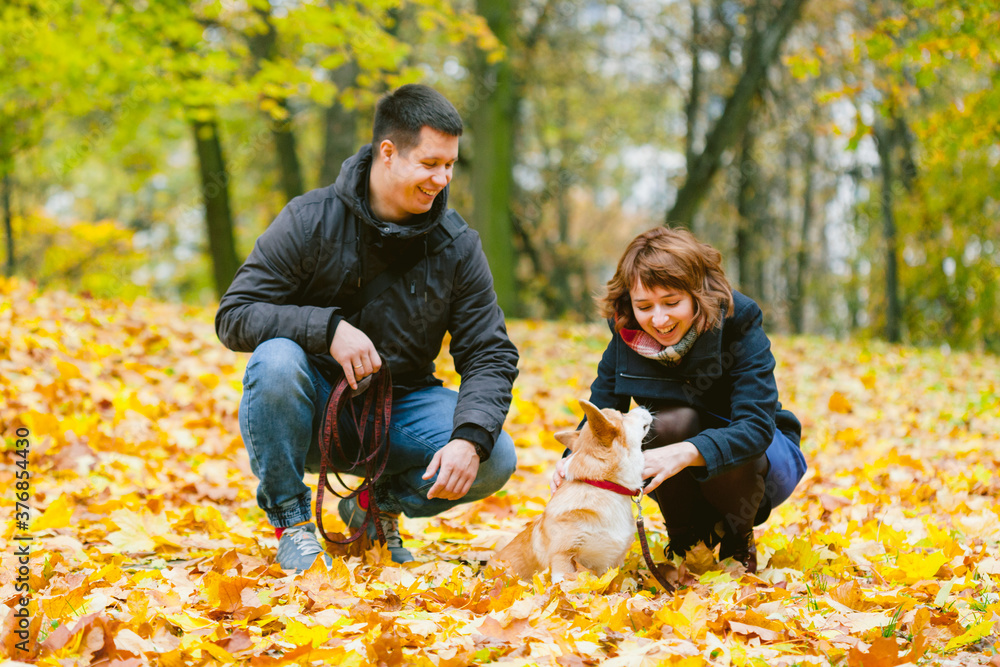 Happy couple playing with Corgi dog in sunny autumn park. Man and woman having fun outdoors with pet.