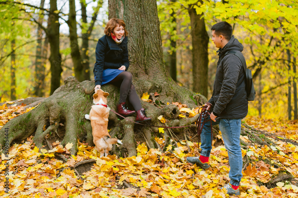 Happy couple playing with Corgi dog in sunny autumn park. Man and woman having fun outdoors with pet.