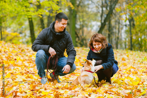 Obraz na płótnie Happy couple playing with Corgi dog in sunny autumn park. Man and woman having fun outdoors with pet. w salonie