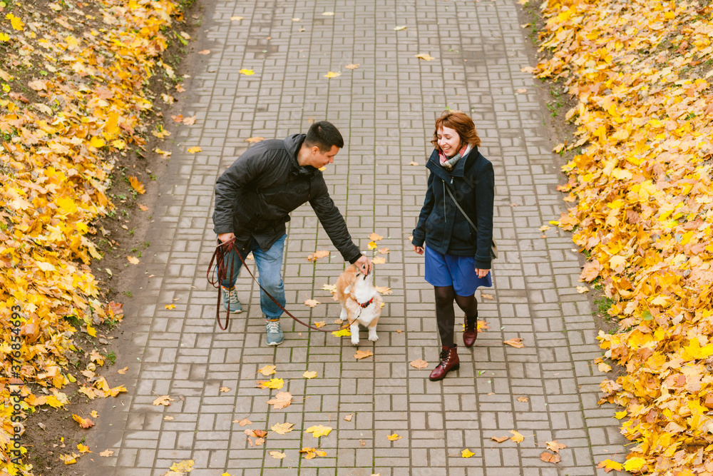 Happy couple playing with Corgi dog in sunny autumn park. Man and woman having fun outdoors with pet.