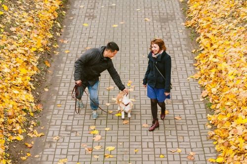 Obraz na płótnie Happy couple playing with Corgi dog in sunny autumn park. Man and woman having fun outdoors with pet. w salonie