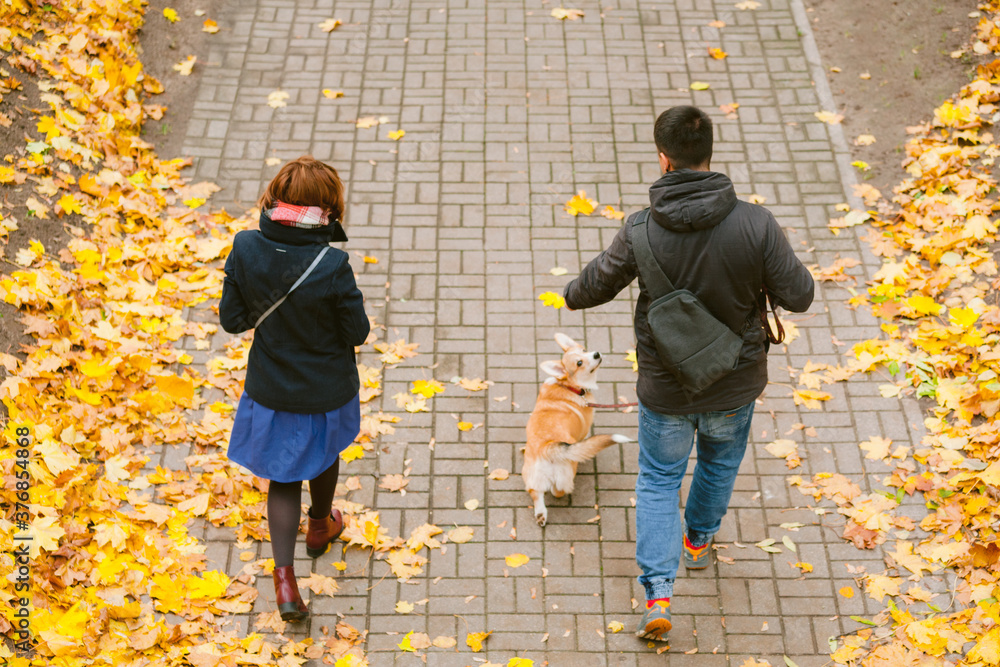 Happy couple playing with Corgi dog in sunny autumn park. Man and woman having fun outdoors with pet.