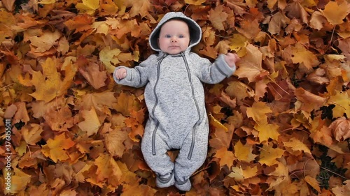 Newboarn Baby Play With Leaves on Autumn Foliage. Baby Portrait in Fall Yellow Leaves, Little Child and Autumn Leaves in the Park photo