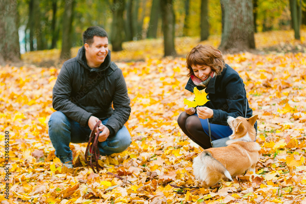 Happy couple playing with Corgi dog in sunny autumn park. Man and woman having fun outdoors with pet.