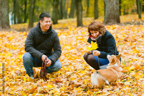 Obraz na płótnie Happy couple playing with Corgi dog in sunny autumn park. Man and woman having fun outdoors with pet. w salonie