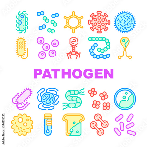 Pathogen Virus Disease Collection Icons Set Vector