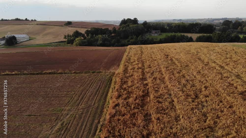 Arial view on Colorful fields.4K, UHD, Cinematic, Aerial footage. Arial view on Colorful fields.4K, UHD, Cinematic, Aerial footage.