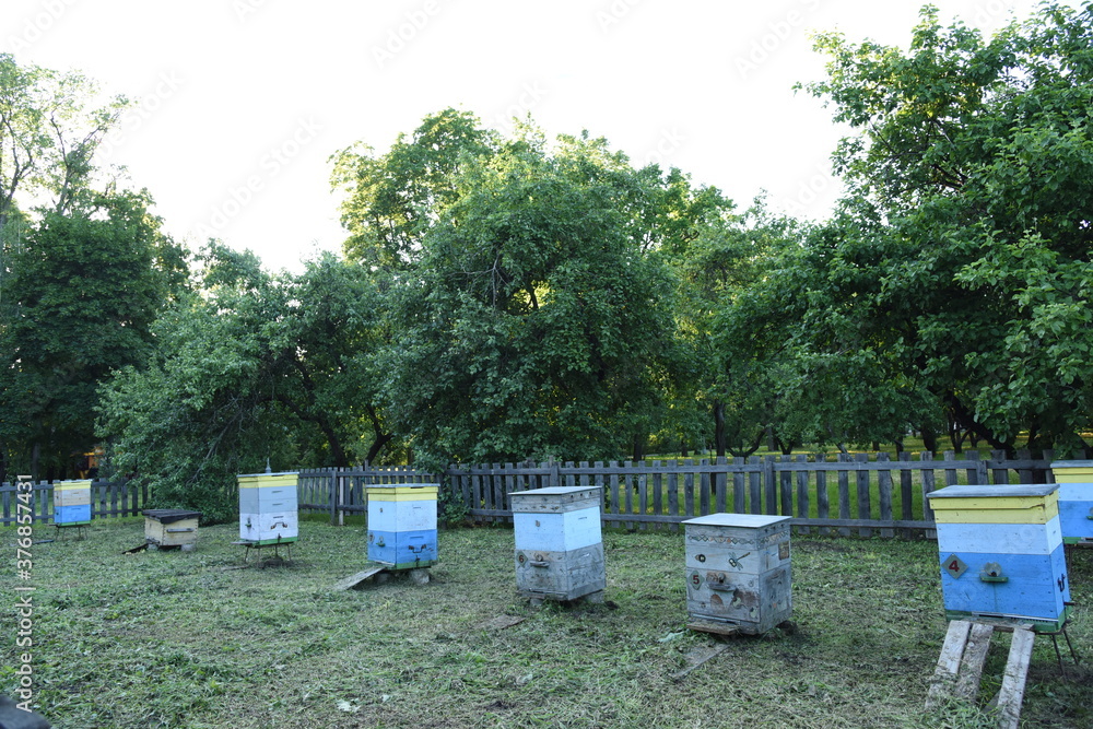Wooden bee houses and honey production hive boxes on the summer apiary with wooden fence and trees on background. Sorry we are closed. Closed gates Wooden bee houses and honey production hive boxes on the summer apiary with wooden fence and trees on background. Sorry we are closed. Closed gates