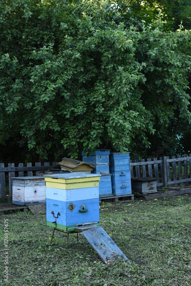 Wooden bee houses and honey production hive boxes on the summer apiary with wooden fence and trees on background. Sorry we are closed. Closed gates Wooden bee houses and honey production hive boxes on the summer apiary with wooden fence and trees on background. Sorry we are closed. Closed gates