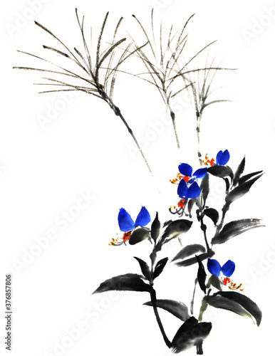 露草と薄